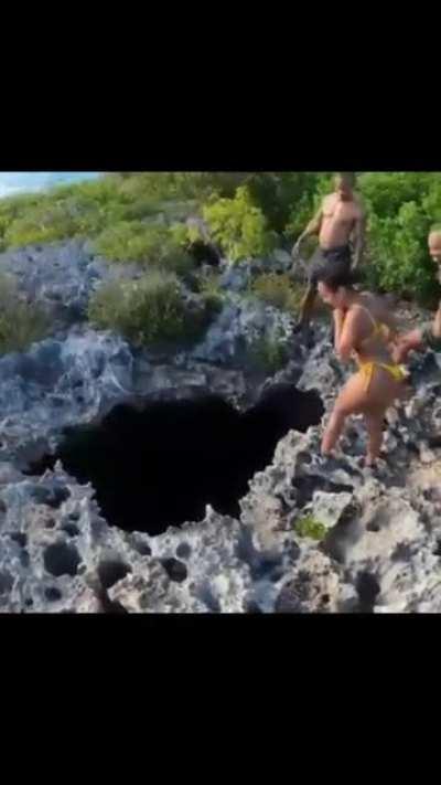 He has never been a bitch