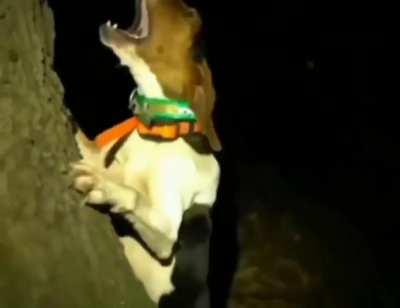 Rayudu after RCB vs CSK match 