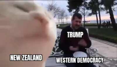 They really are just vibing overthere, huh.