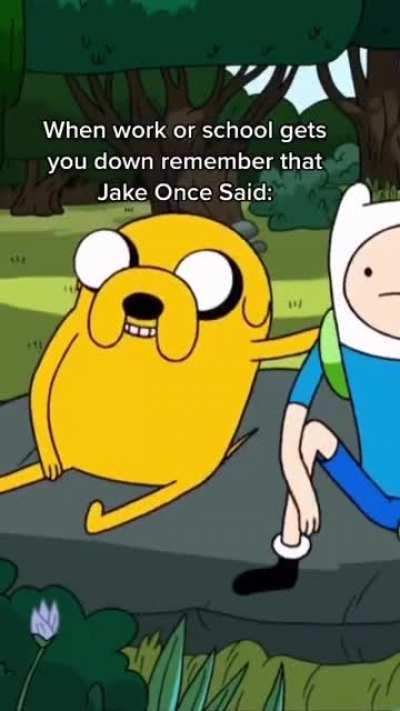 None of this is real