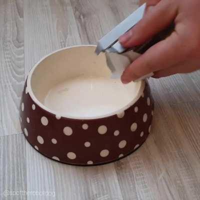 Y’all ready for robot pets