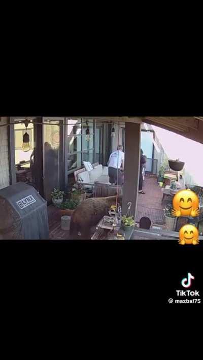 Did a woman just save the man from a bear?