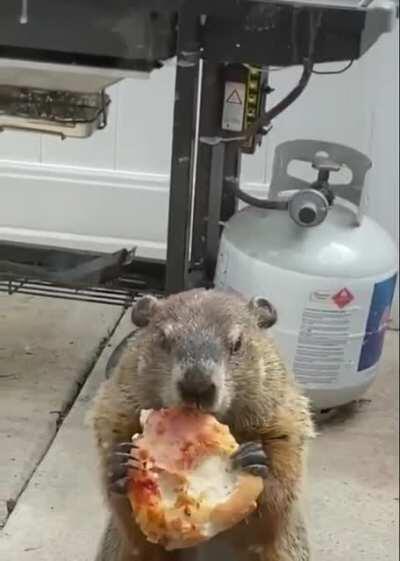 Look, I'm eating a pizza