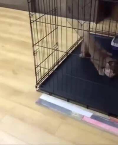 His hunger is insatiable.