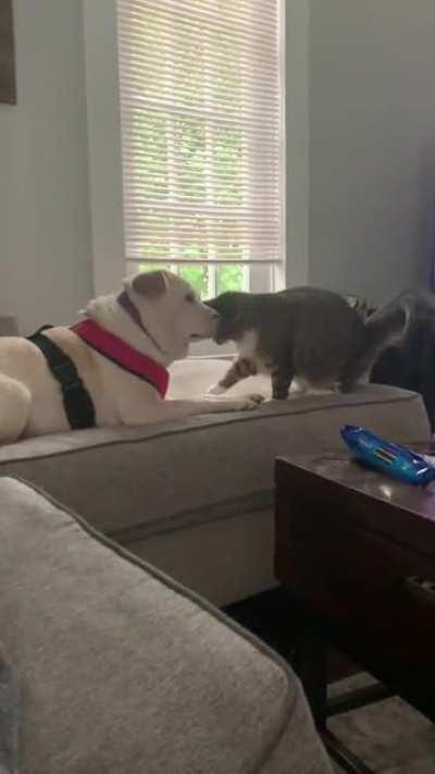 They just melt my heart 🥺