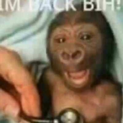 hahahahaha xD you got me!!!