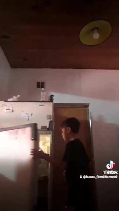 BeelcitosMemes - Video #0447