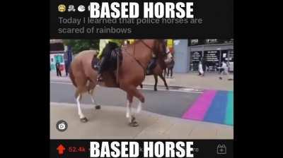 They’re rainbow-phobic 😎🤩