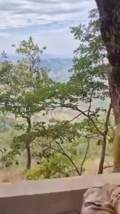   Nada como el paisaje del campo...🤣🤣