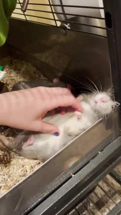 Milk went from being sour & rotten to sweeter than condensed milk after he was neutered