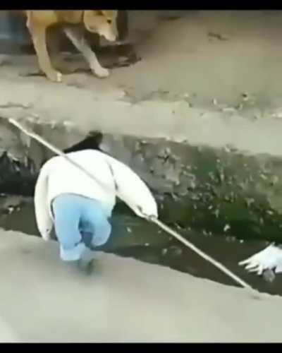 SE CHOROU MANDA BibleThump