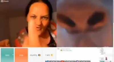 IShowSpeed having a normal conversation with a romanian