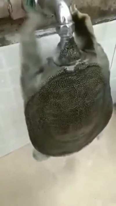 Compañeros que dicen de está técnica de succión??