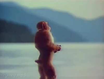 finally found a video that perfectly captures how the white ferrari outro makes me feel