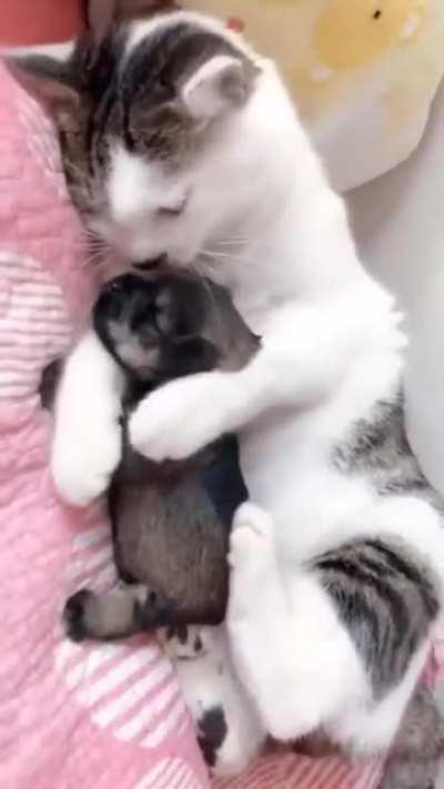 And I’ll take care of him