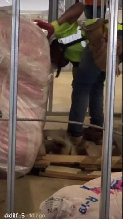 Just manhandling a skunk