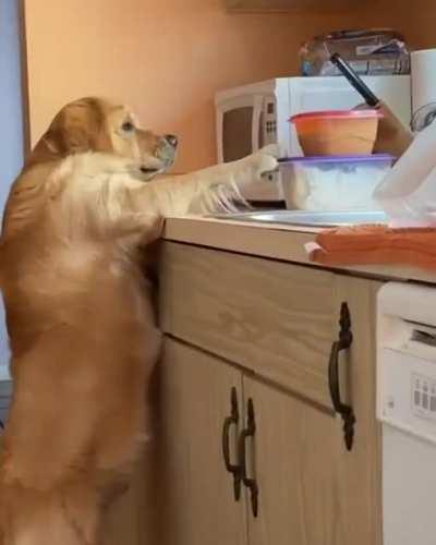 You just got caught buddy