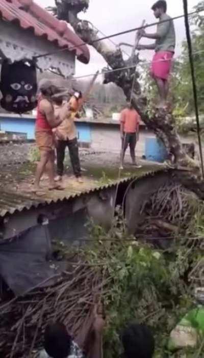 WCGW cutting down this pesky tree?