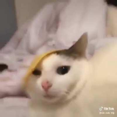 I'm 15 and this is yeet