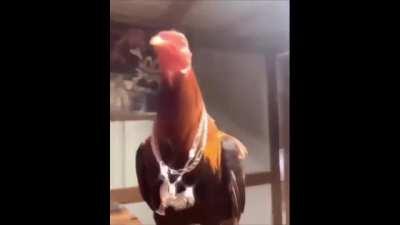 My cock is hard asf 😏😏😏