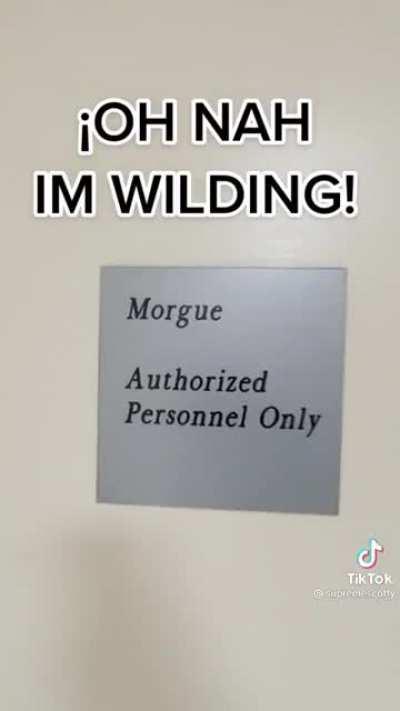 Average r/future user