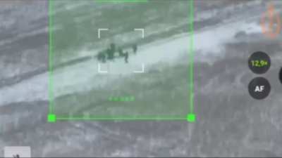 Ukraine's 129th Brigade «Rugby Team» UAV crew hit group of DPRK armed forces personnel with FPV drone. Plekhovo, Kursk region [02.2025]