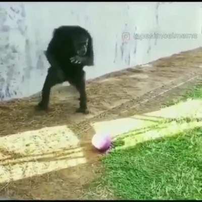 Lely jugando a furbo😳