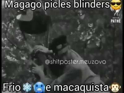 Gorilalol confirmado na próxima temporada de pika blindada