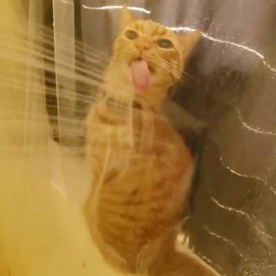 Every shower with this guy for the past 10 years (full video)