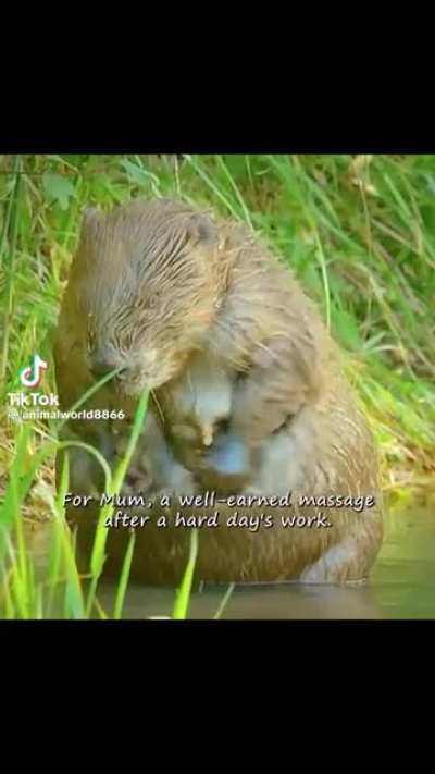 Ich besauf mich alleine m park