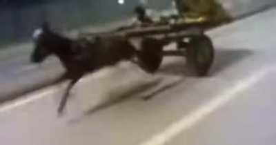 War Sound (hood edition)