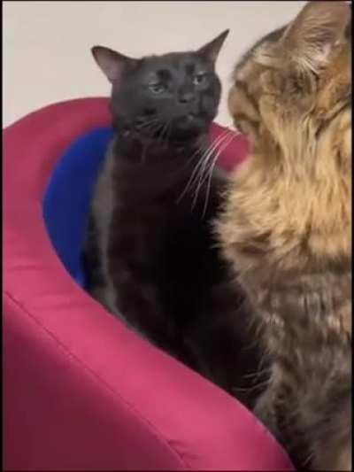 Me too buddy, yeah me too