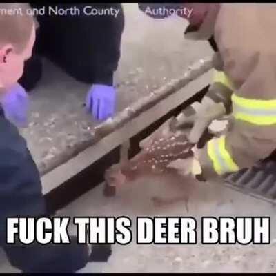 pyrocynical - Video #4013