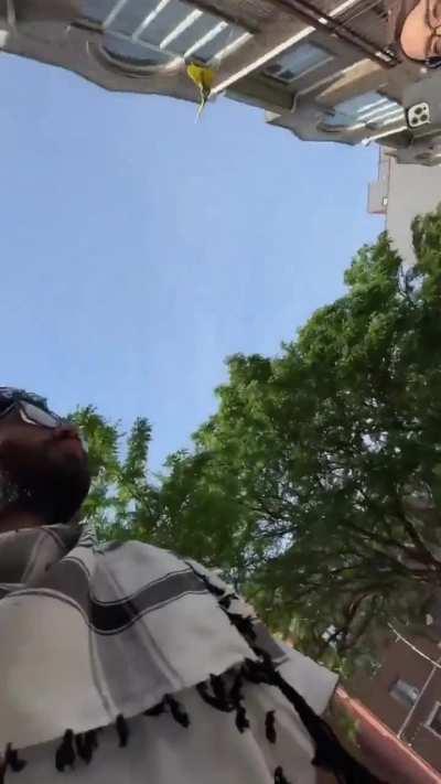 Karen harassing delivery man