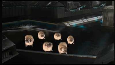 The last thing Vatniks hear and see in Bakhmut