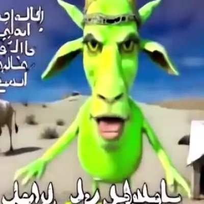 WHAT THE FUCK DID I JUS WATCH??????!!!!!!!!1111!!!!!!