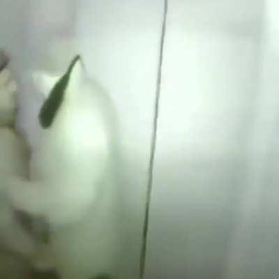 aman aman gormesınler