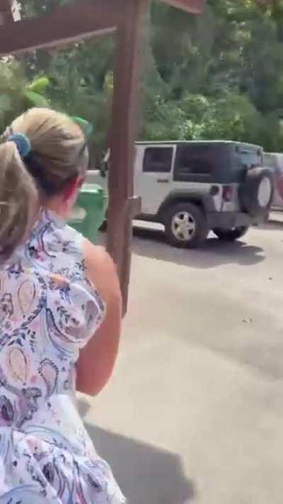 Wholesome monkey moment