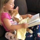 I guess he likes the story