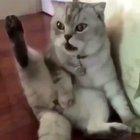 You wake up just to realise life ain't same anymore..