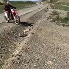 So close but yet so far