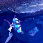 Release The Kraken!!!!