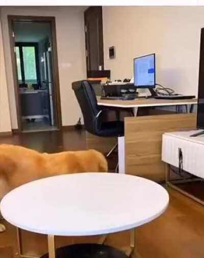 And the OSCAR goes to!