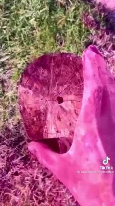 I dont even know whats real anymore