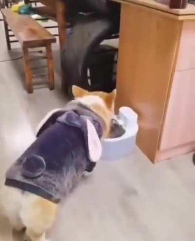 New movie, through the glass.