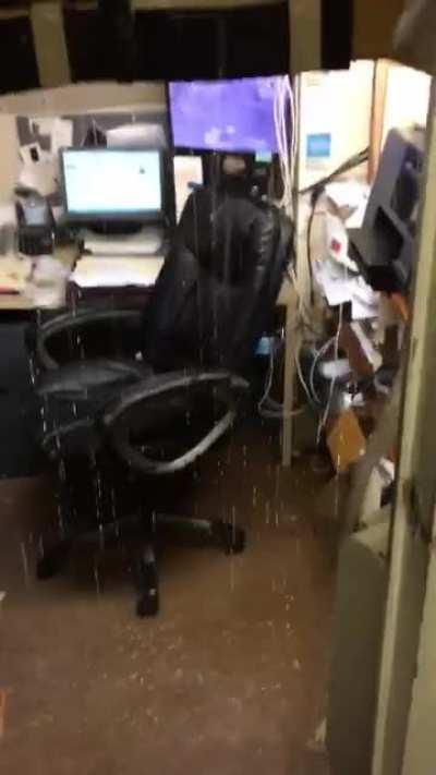 Indoor water featuee