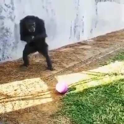 El pana jorge felicitando al admin por su trabajo