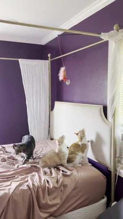 Such form; such grace…