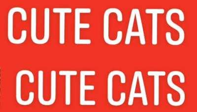 DONT CLICK on this :)