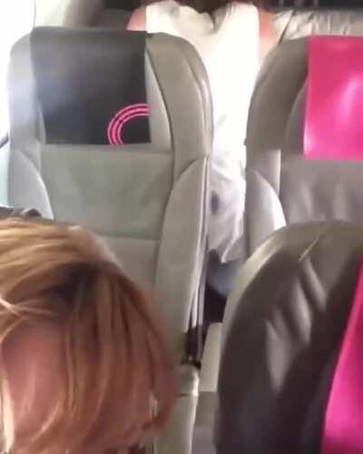 Couple having sex on a plane [gif]